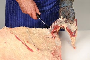 Meat Cut Spec Step 3